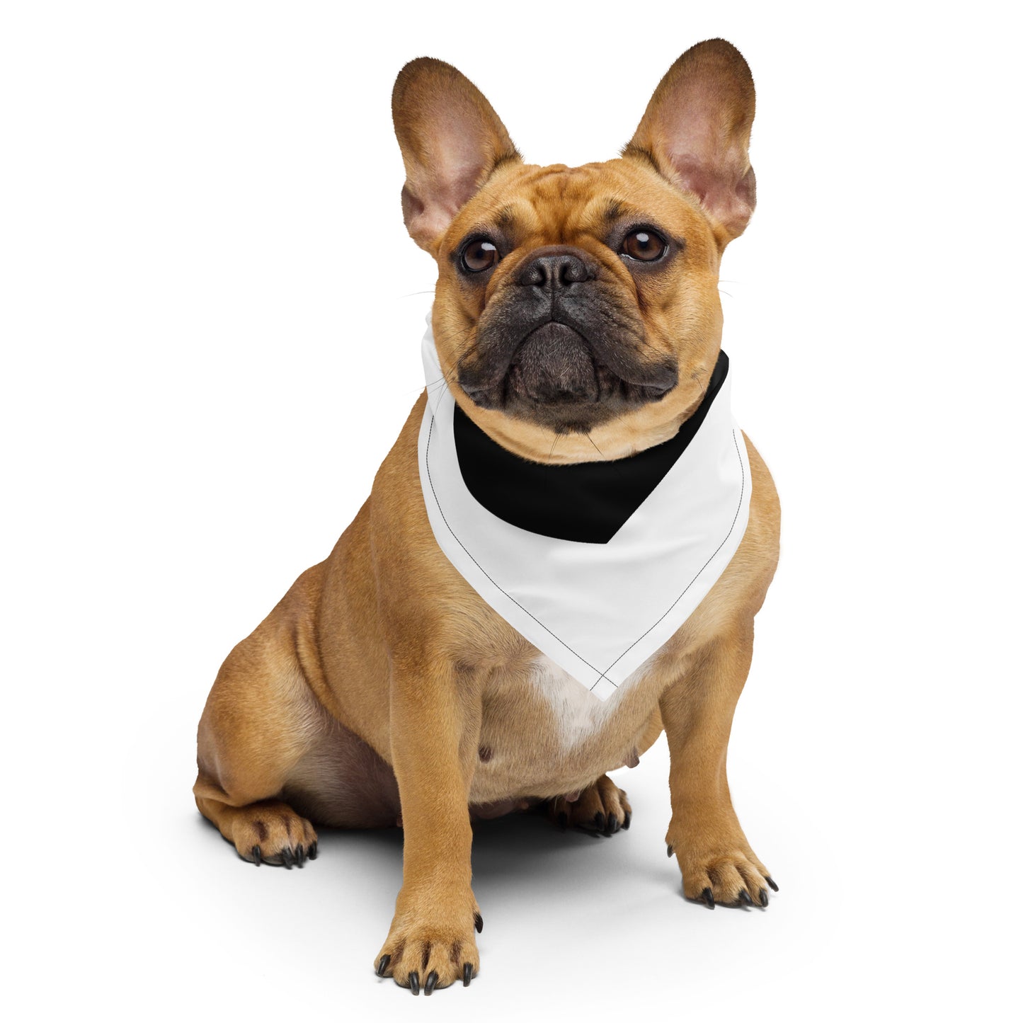 Bandana