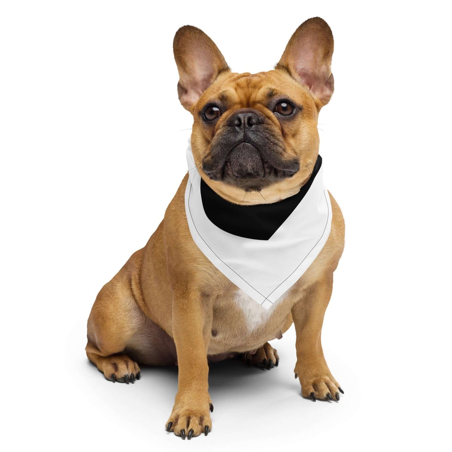 French bulldog wearing Bandana N°1 in black and white, perfect for coordinating with your style and pet accessories.