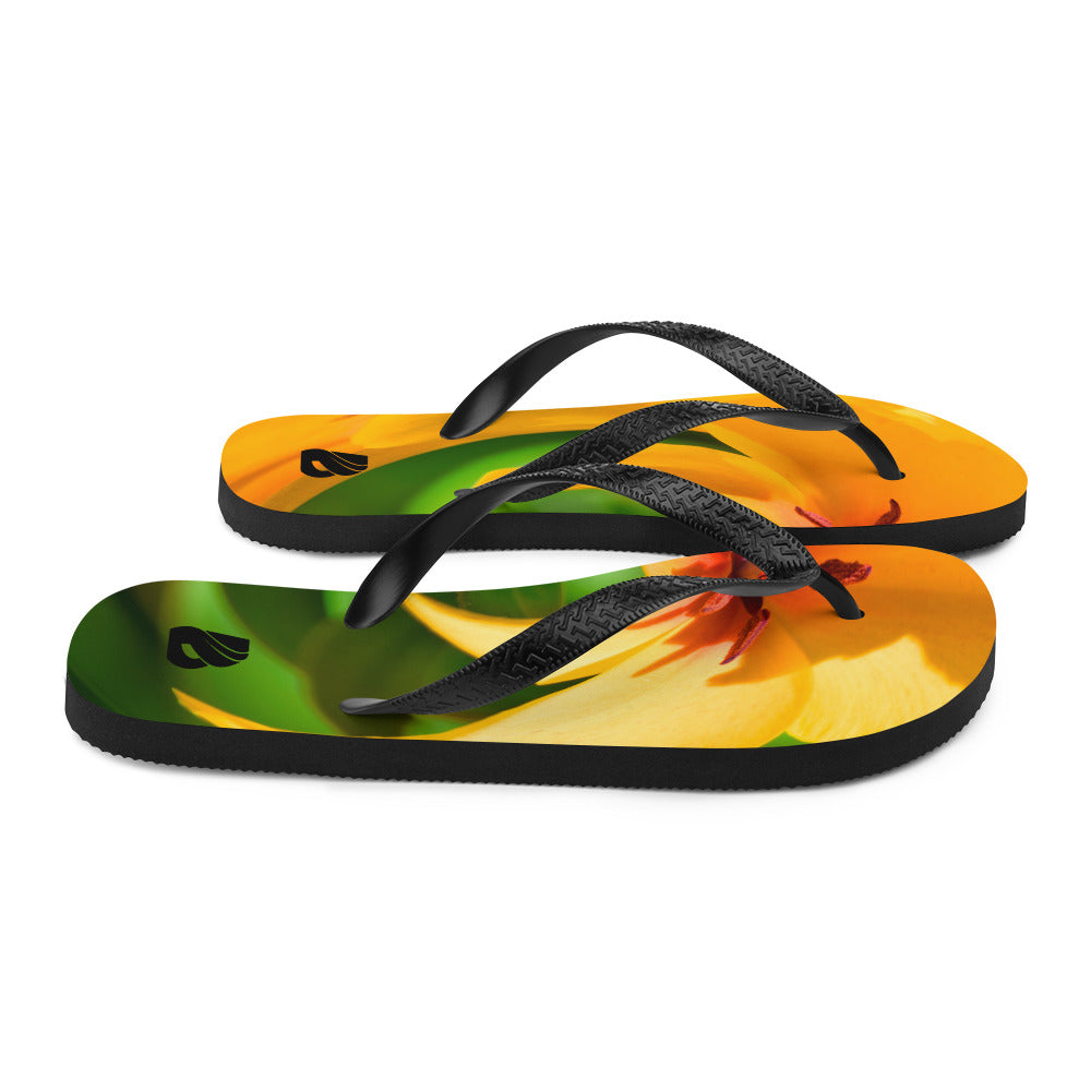 Flip-Flops