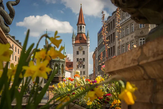 Colorful flowers in the foreground with a historic tower and blue sky in the background.