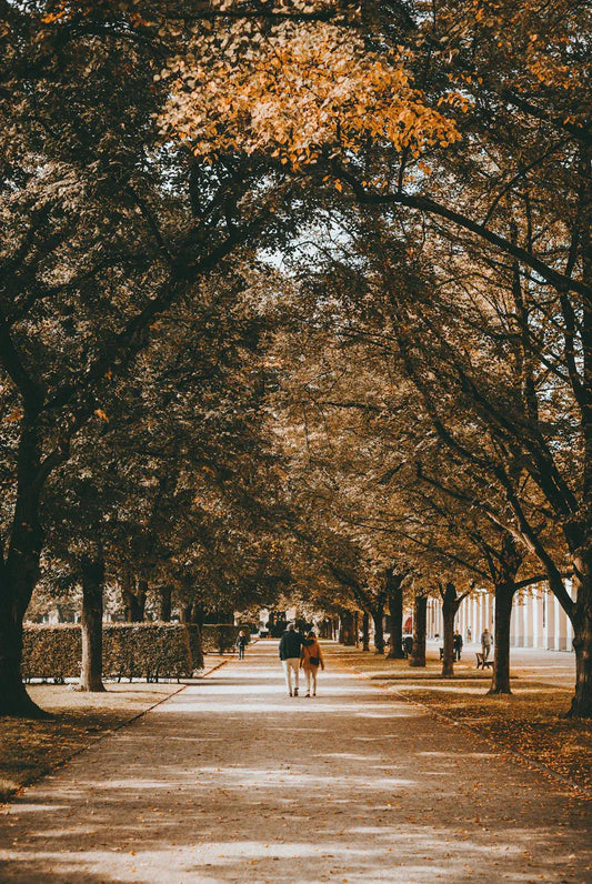 Couple walking hand in hand down a tree-lined path during autumn with fallen leaves.