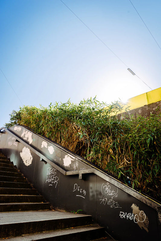 Staircase covered in graffiti, leading to greenery and bright sky, showcasing urban art and nature.