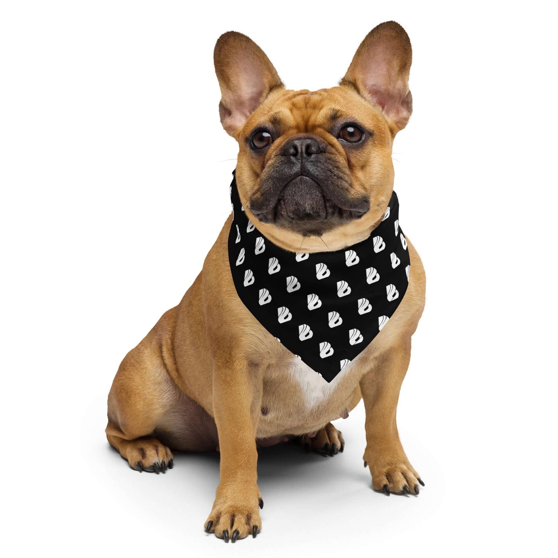 French bulldog wearing a stylish Bandana with allover print, perfect for adding flair to any outfit or accessory collection.