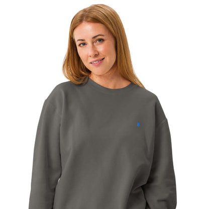 Leichter textilgefärbter Unisex-Fleece-Pullover mit Rundhalsausschnitt, Vintage-Look, weiche Baumwolle, lockere Passform, grau.